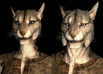 Skyrim Races Tier List – Khajiit
